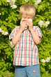 Allergy Allergy
