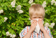 Allergy