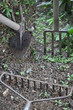 attrezzi da giardino
