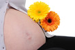 Grossesse 3