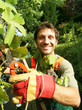 vigne taillée par un jardinier vigneron jovial vigne taillée par un jardinier vigneron jovial