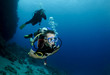 scuba divers