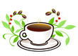 Ökologischer Kaffee