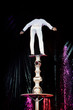equilibrist skillfully balances in circus