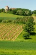 Château dans le Jura