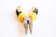 Pliers ,tools