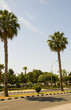 pedestrian seafront promenade Limassol Lemesos Cyprus