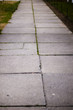 Platten-Weg