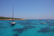 mare