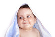 Photo: portrait of little boy portrait of little boy