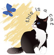 Thit is a cat