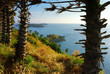 Phromthep cape at sunset, Phuket,Thailand