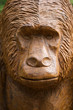 Ape Face