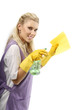 Cleaning woman