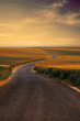 Country road