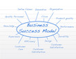 Business success model