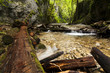 National park - Slovakian paradise, Slovakia National park - Slovakian paradise, Slovakia