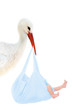 Storch mit Baby im blauen Beutel