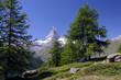 Matterhorn - zwischen Wald und Natur
