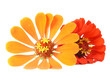2 flowers