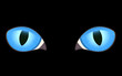 vector image of black cat eyes in darkness vector image of black cat eyes in darkness