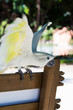 beautiful white parrot