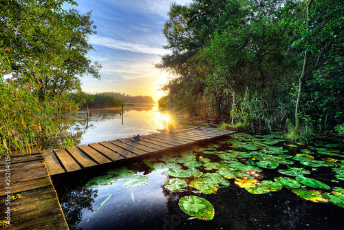 Photo: waterlilies waterlilies