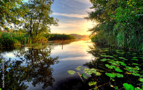 Photo: morning light morning light