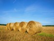 Strohballen
