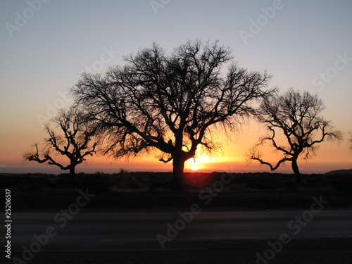 coucher de soleil coucher de soleil