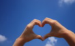 El corazon