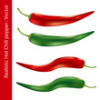 Realistic Hot Chili Pepper Realistic Hot Chili Pepper