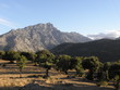 paysage Corse