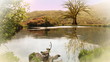 3D animation of a tree growing in a landscape
