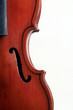 Violin on a white background Violin on a white background