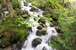 Bachlauf
