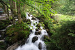 Bachlauf
