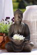 Buddha