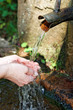 Quellwasser