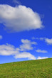 cielo agricoltura prato pascolo salute natura