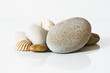 galets et coquillages
