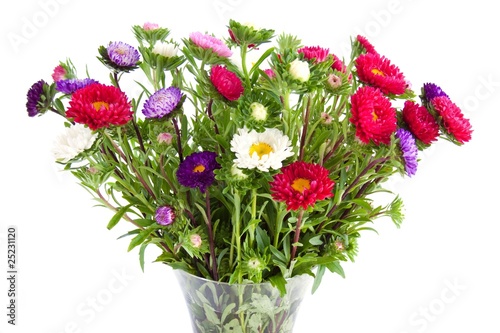 Photo: bunch of asters bunch of asters