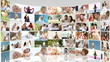 Family footage collage in high definition