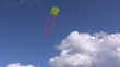 Kite flying in a summer sky Kite flying in a summer sky