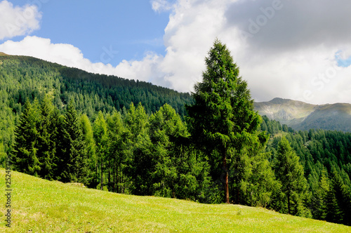paesaggio montano