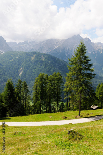 sentiero in montagna sentiero in montagna