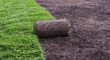 new lawn