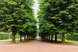 Castlegarden alley