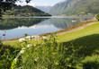 Farmland around Hardangerfjord, Norway