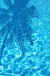 Pool 003